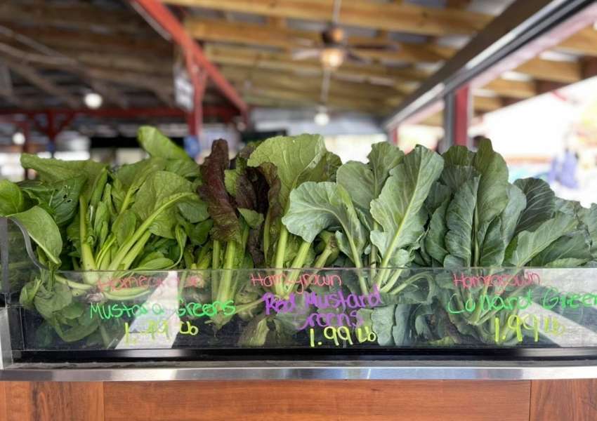 u-pick farms near me