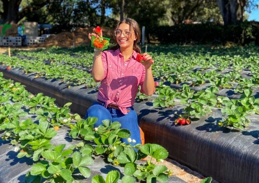 5+ Best Farms To Visit In Tampa Bay This Fall