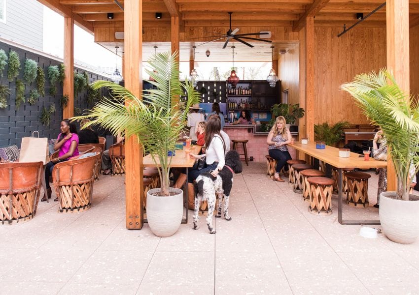 10 Summertime Dog Friendly Restaurants in Eastside ATX