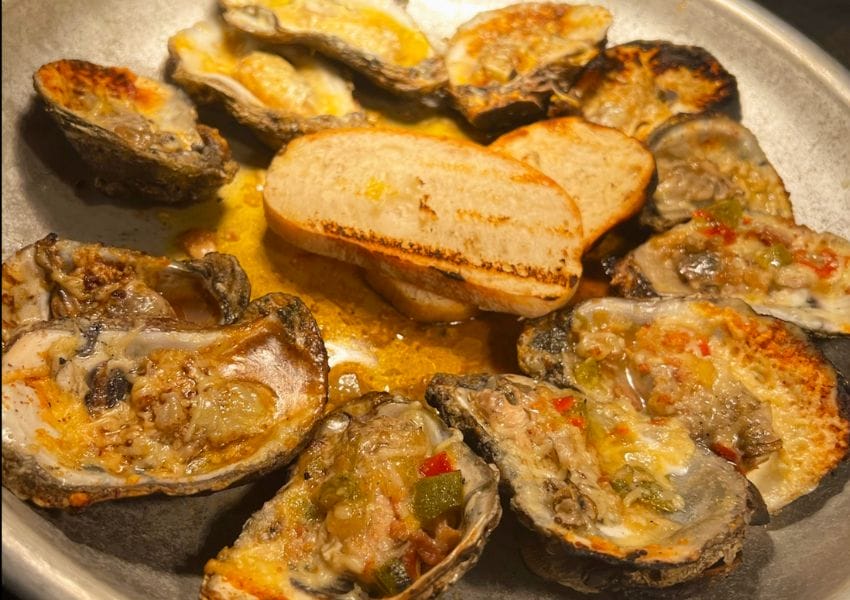 Shellabrate The 10+ Best Oysters in Tampa Bay Area