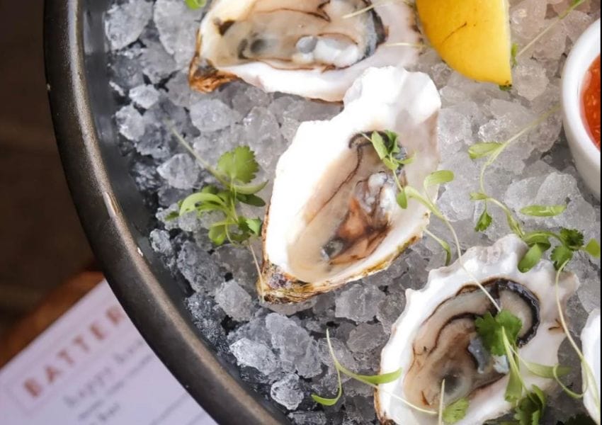 Shellabrate The 10+ Best Oysters in Tampa Bay Area