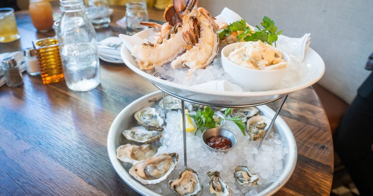 Shellabrate The 10+ Best Oysters in Tampa Bay Area