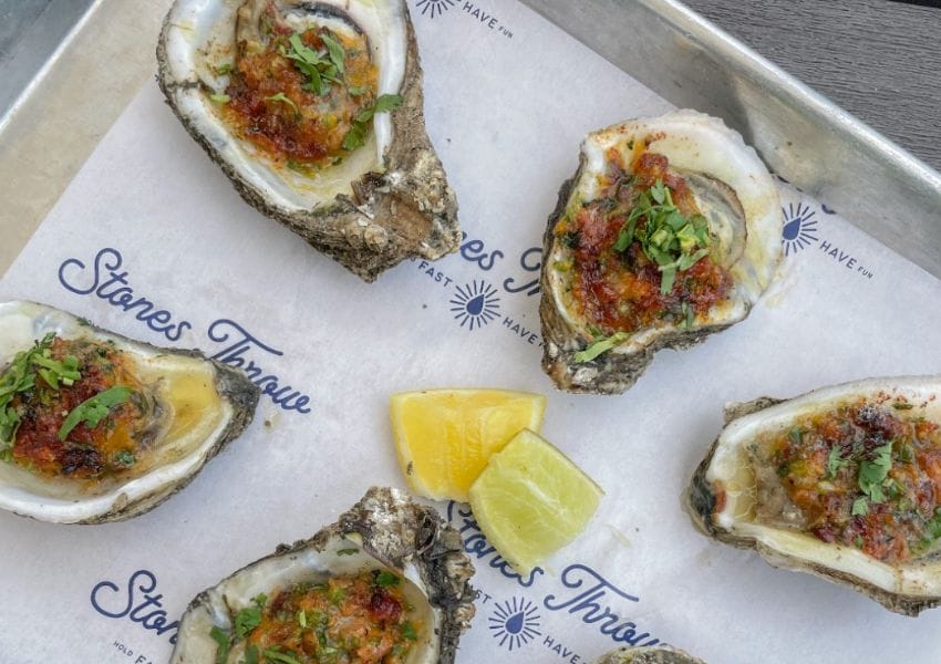 Shell Abrate The 10 Best Oysters In Tampa Bay Area