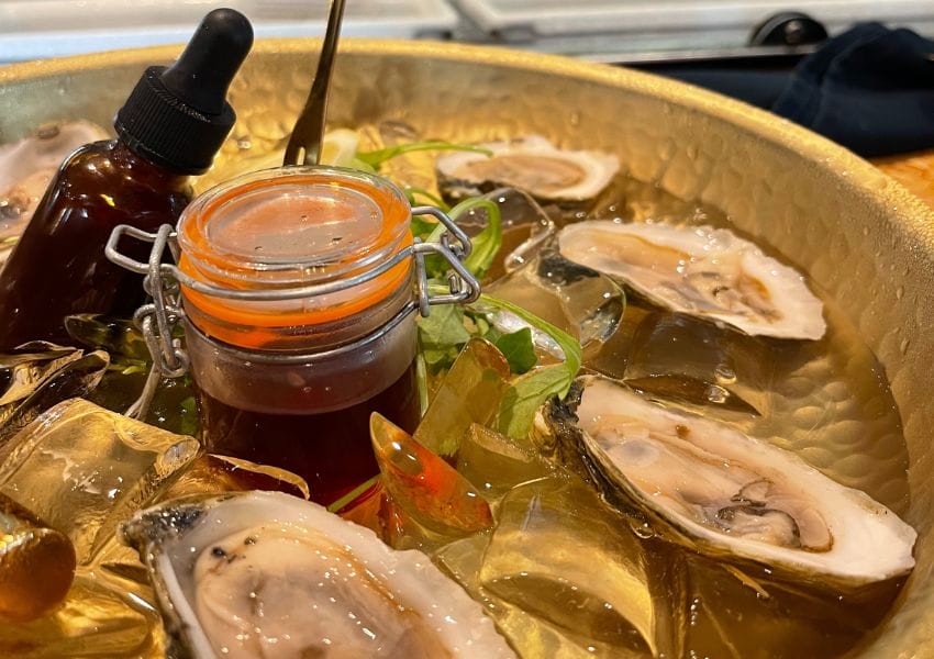 Shellabrate The 10+ Best Oysters in Tampa Bay Area