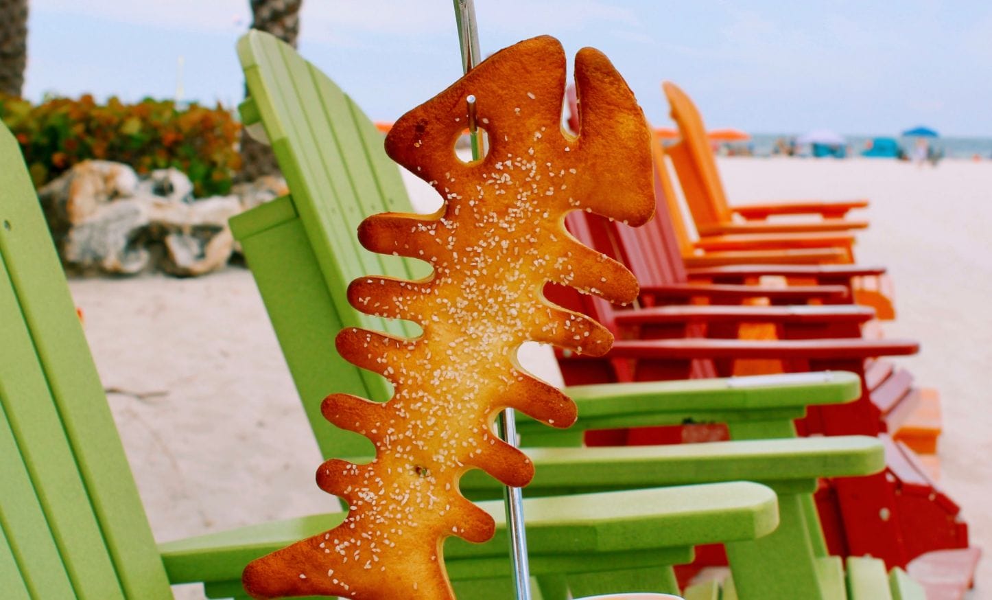 20+ Charming Date Spots with Outdoor Dining in Tampa Bay