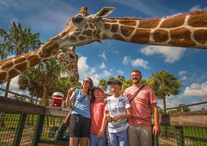 11 Best Things To Do With Kids In Tampa Bay – UNATION