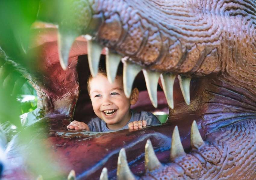 11 Best Things To Do With Kids In Tampa Bay – UNATION