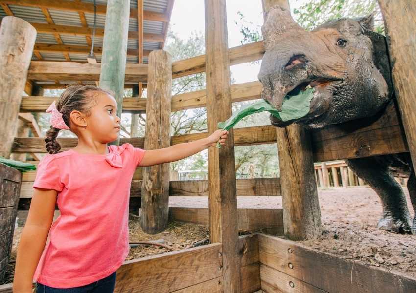 11 Best Things To Do With Kids In Tampa Bay – UNATION