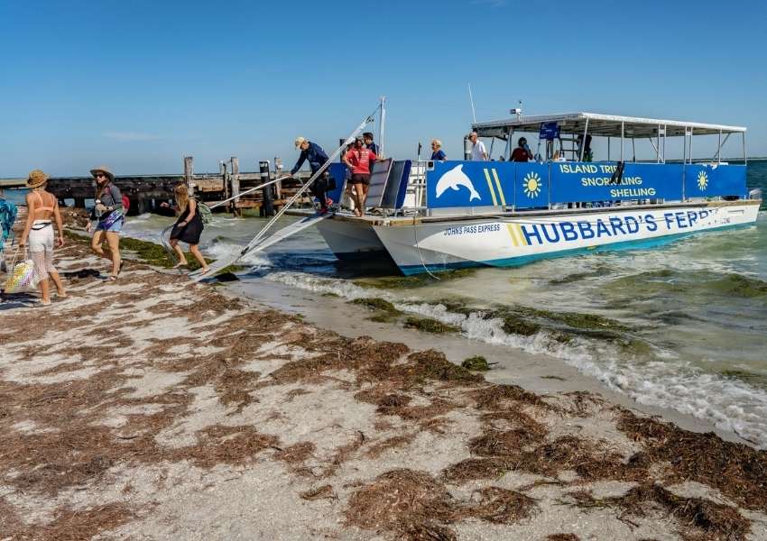 water activities in tampa bay