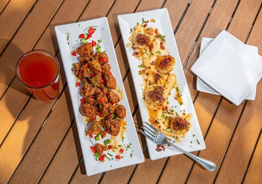 restaurants in tampa bay