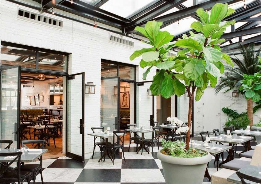 instagrammable restaurants in tampa