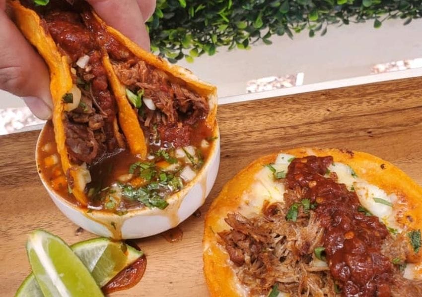 birria tacos in Tampa Bay