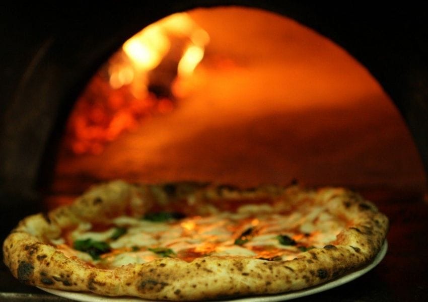 Best “Pizza Places Near Me” in North Tampa UNATION