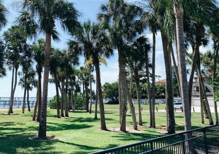 9 Best Places to Watch the Sunset in Dunedin UNATION