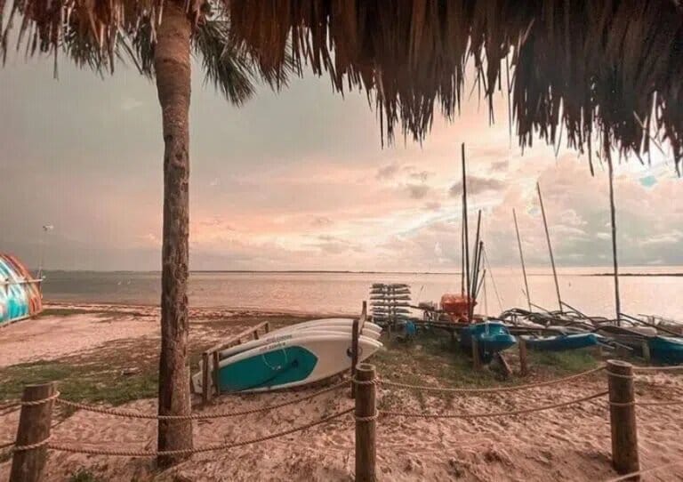 9 Best Places to Watch the Sunset in Dunedin UNATION