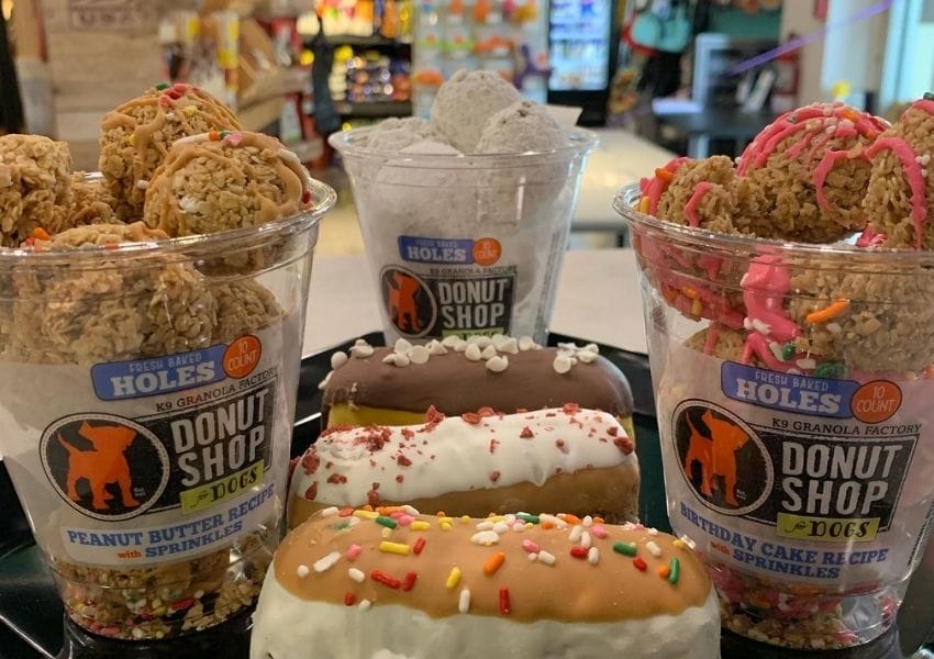 8 Best Pet Shops in Tampa Bay Stuff to Do UNATION