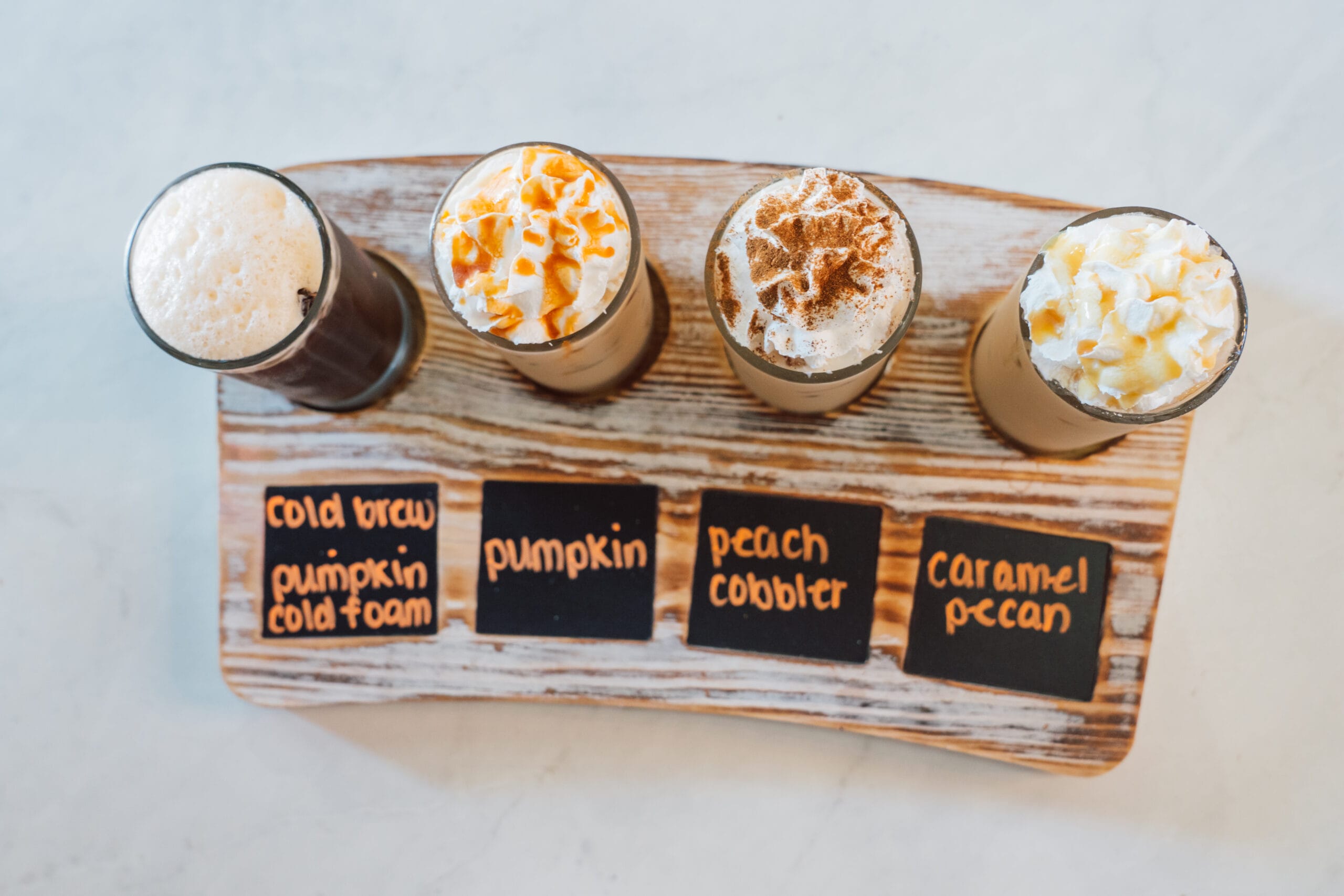 Fall Bucket List 10+ Things to Do in the Fall in Tampa Bay