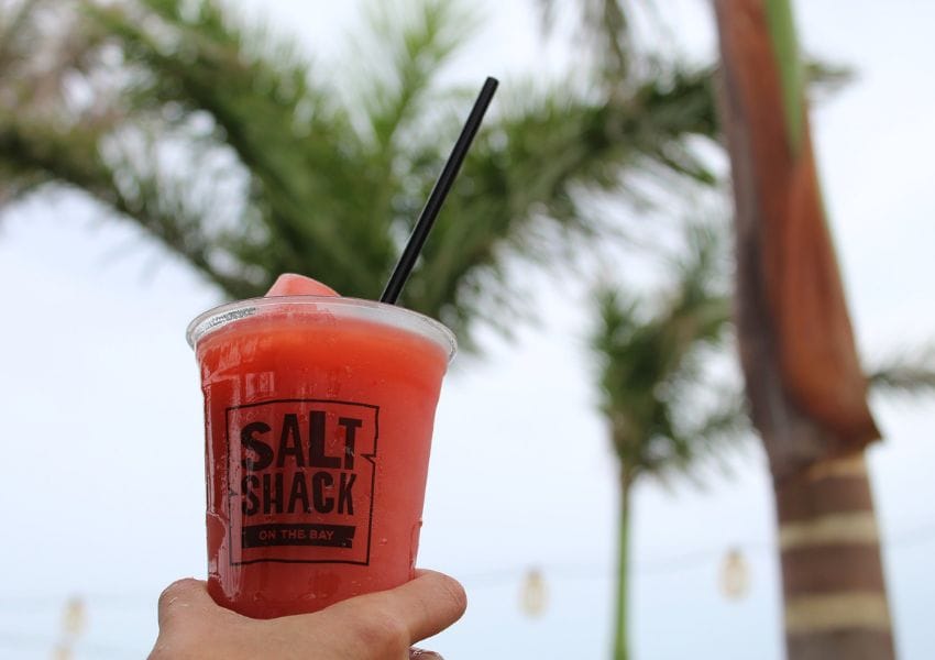 20+ Charming Date Spots with Outdoor Dining in Tampa Bay