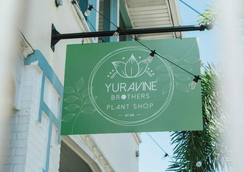 Meet Tampa Bay's Plant Loving Brothers: Yura Vine Bros.