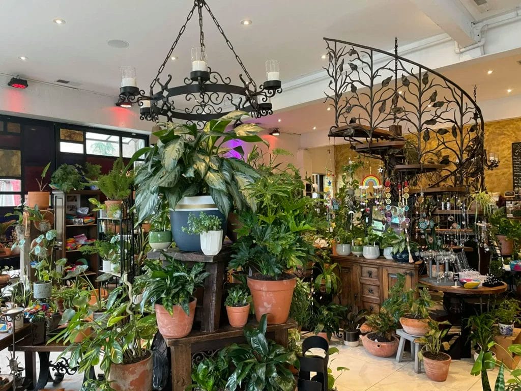 Best Plant Shops in Philly UNATION