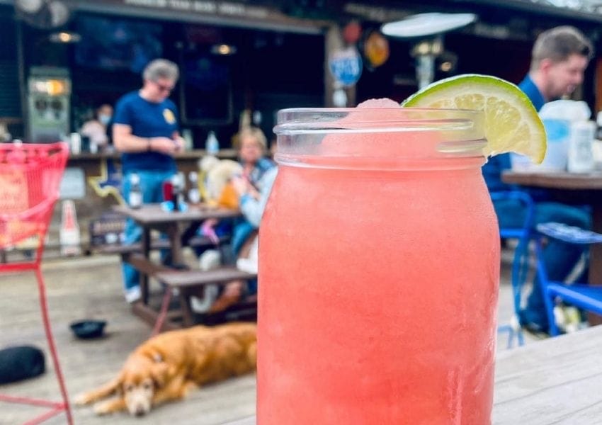 The Best Dog Friendly Restaurants around Houston UNATION