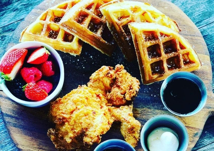 Must Try Restaurants in Tampa Bay with the Best Chicken and Waffles