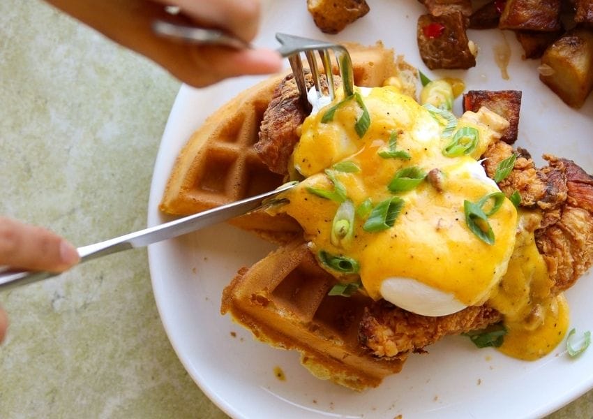 Must Try Restaurants in Tampa Bay with the Best Chicken and Waffles