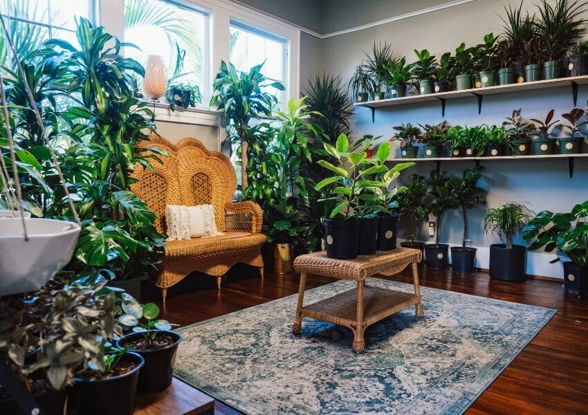 things to do in South Tampa