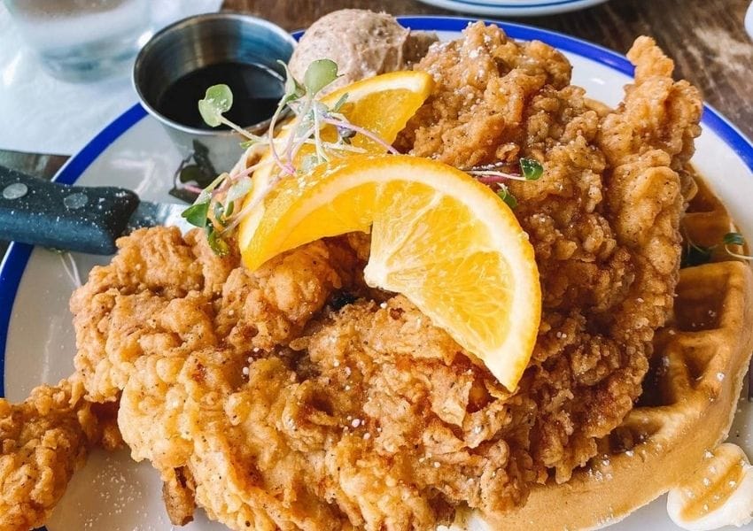 Must Try Restaurants in Tampa Bay with the Best Chicken and Waffles