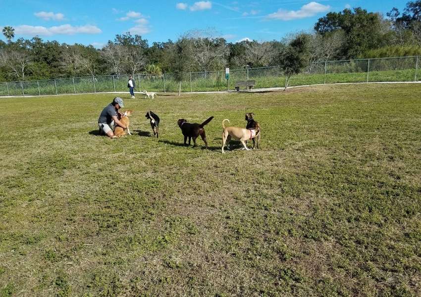 dog friendly parks near sarasota