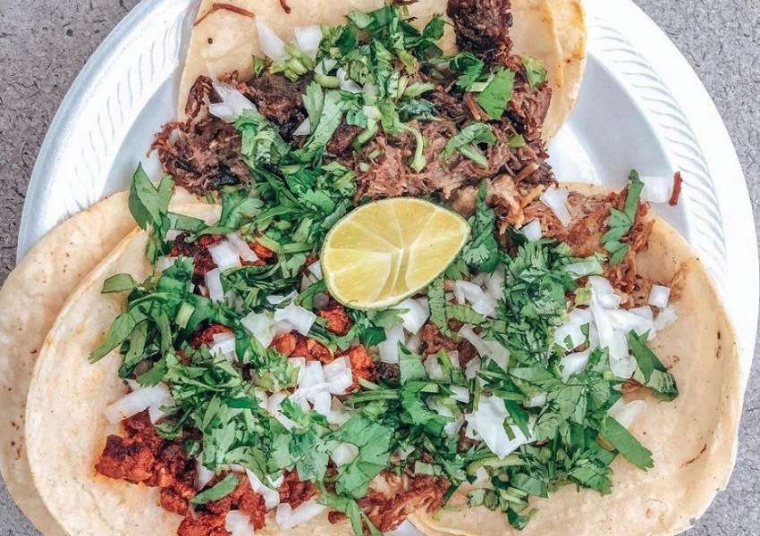 7 Best Mexican Food Restaurants in St. Pete UNATION
