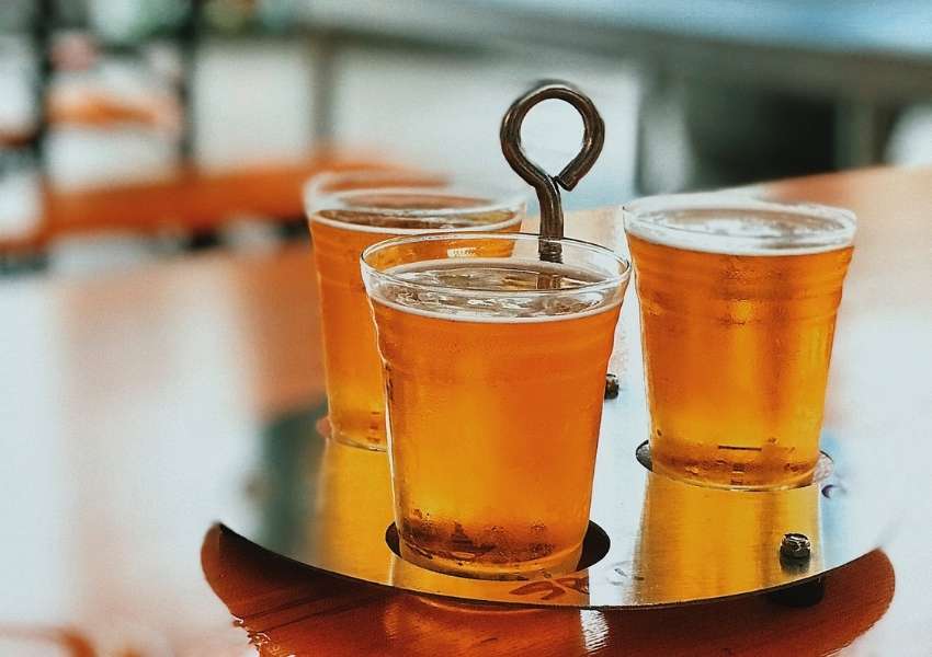 8 Best Bars in Dunedin to Unwind & Go Out With Friends UNATION