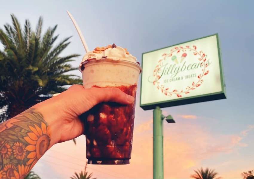 4 Tasty Ice Cream Shops in Dunedin UNATION