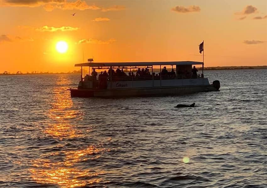 5 Trendy Jekyll Island Attractions to Explore UNATION