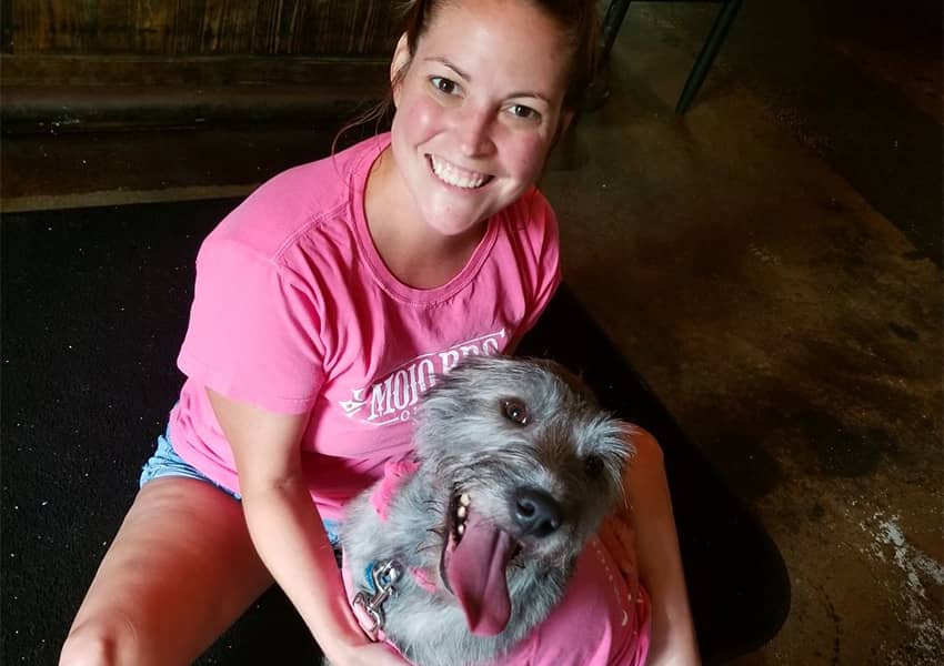 10+ PetFriendly Restaurants in St. Augustine UNATION