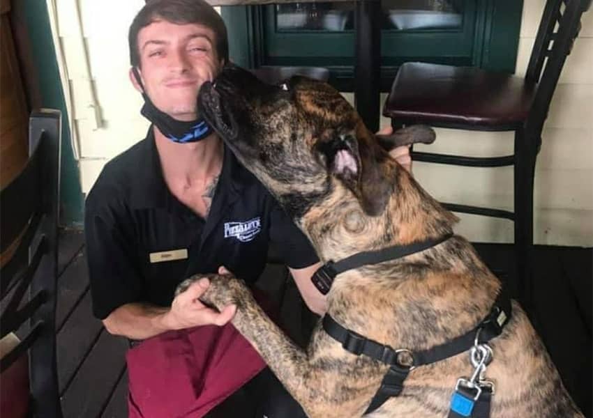 10+ PetFriendly Restaurants in St. Augustine UNATION