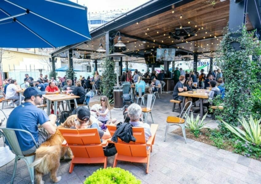 10+ Dog Friendly Restaurants Tampa Bay 