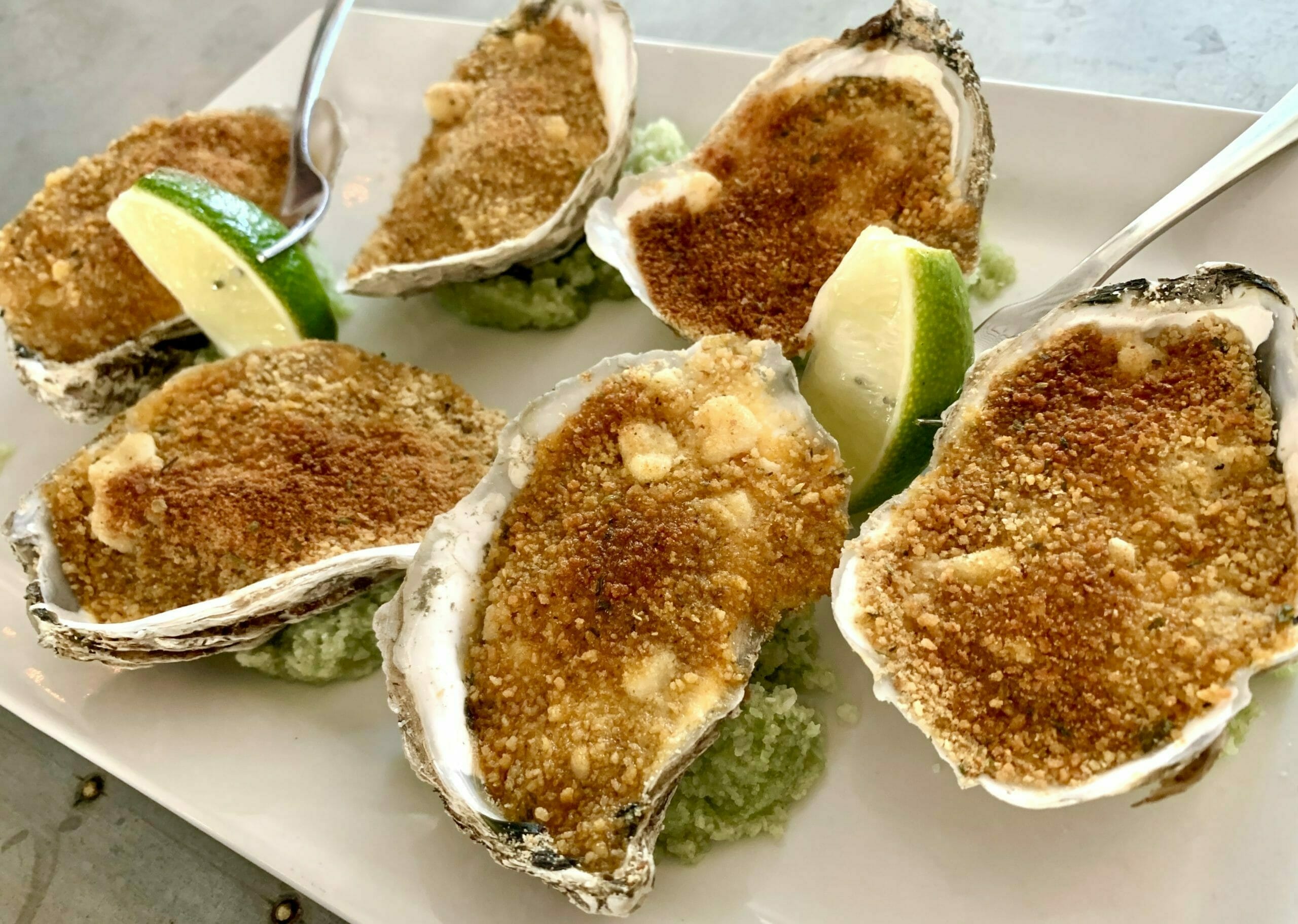 Oysters in Tampa Bay