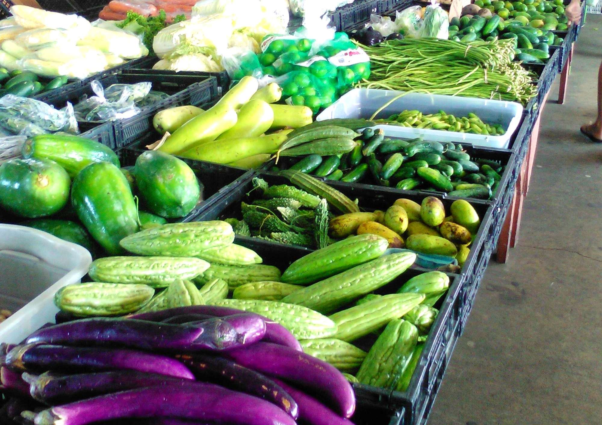5+ Best Local Farmer’s Markets in Jacksonville UNATION