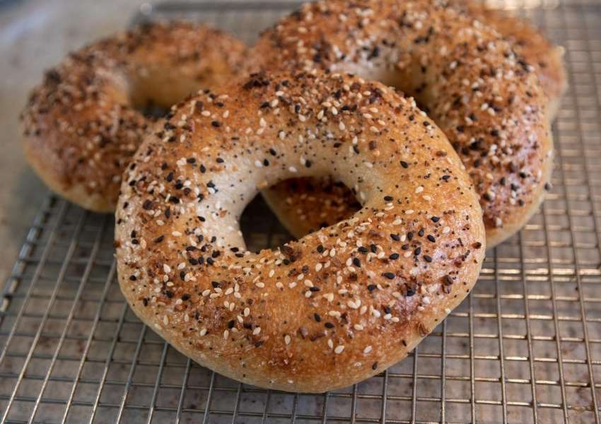 9 Irresistible Spots For Bagels in Tampa Bay