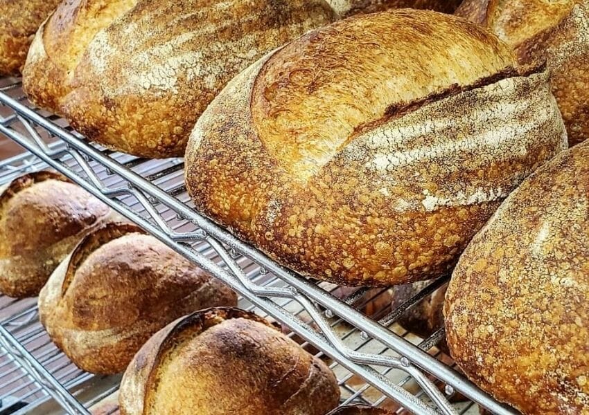6 Food Shops & Bakeries in Squirrel Hill UNATION