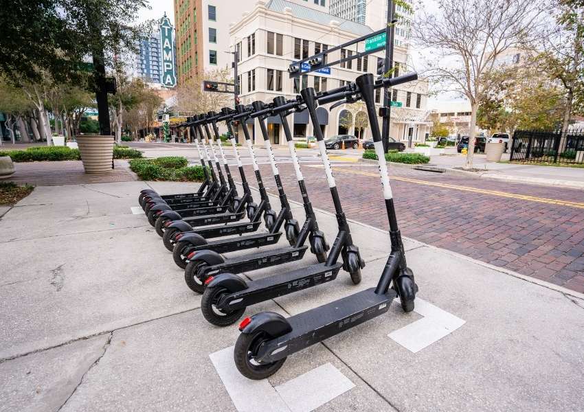 Ride Bird or Lime Scooters - Downtown Tampa