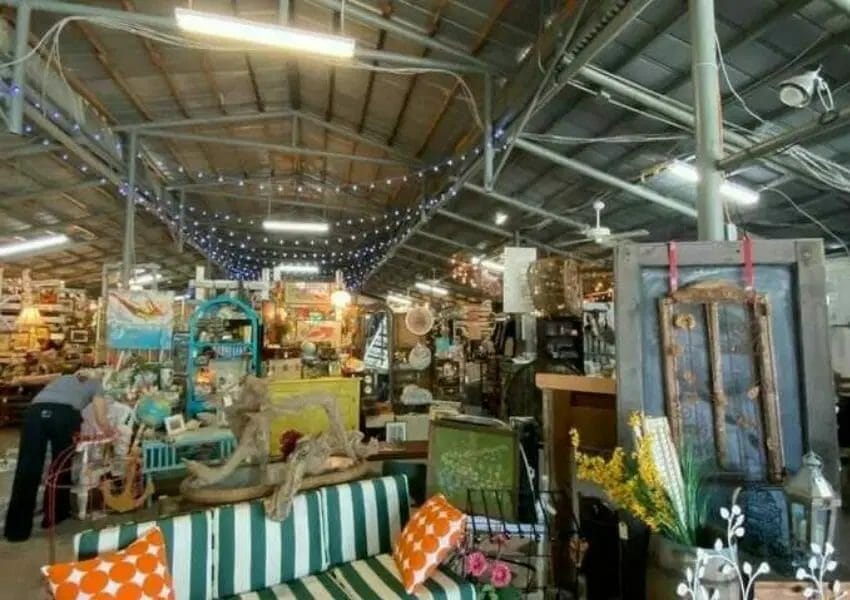 November Local Love List: 10 Unique Businesses in Tampa Bay to Check Out this Month