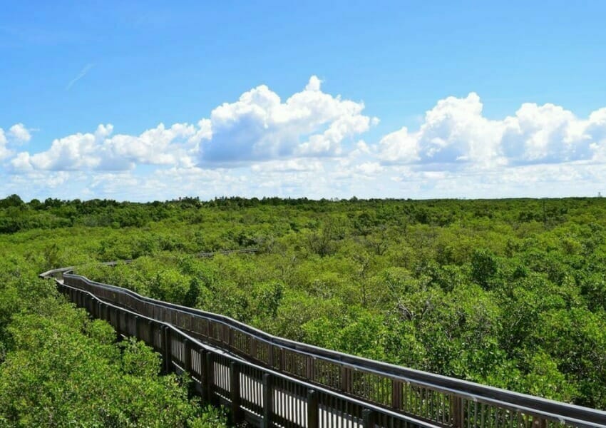 Explore Weedon Island Preserve - Cheap stuff to do in Tampa Bay