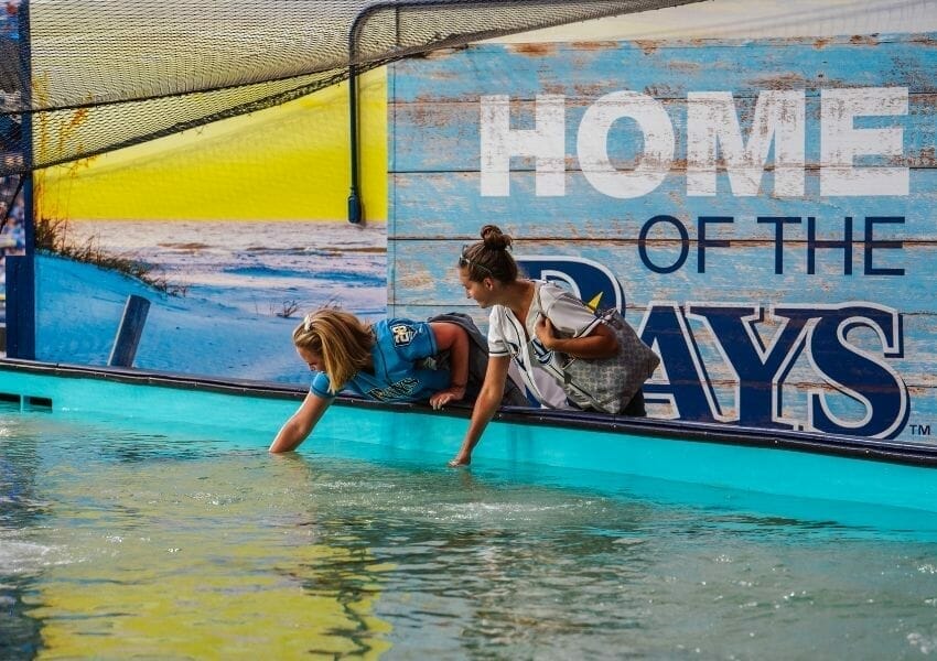 Visit The Rays Touch Tank - tropicana field
