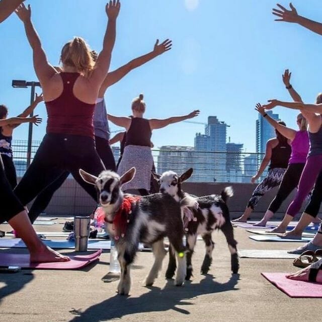 5 Of the Best Yoga Studios in Philadelphia – UNATION