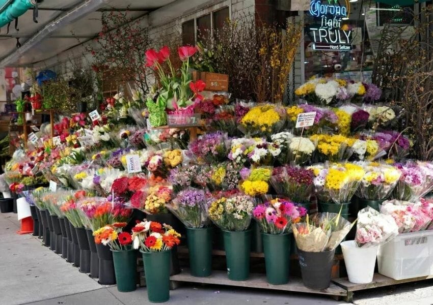 December Local Love List Best Businesses, Events & Activities in