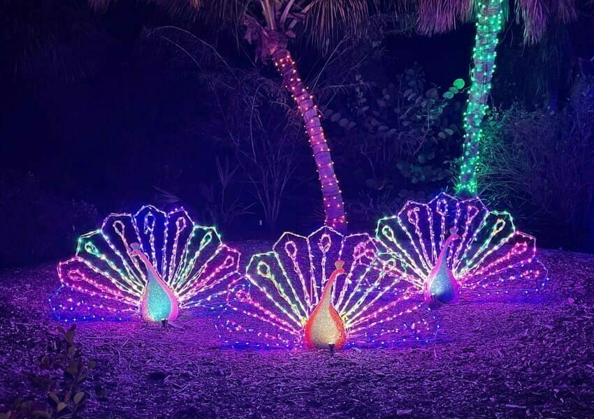 Sarasota's Lights in Bloom: An Open-air Holiday Light Show