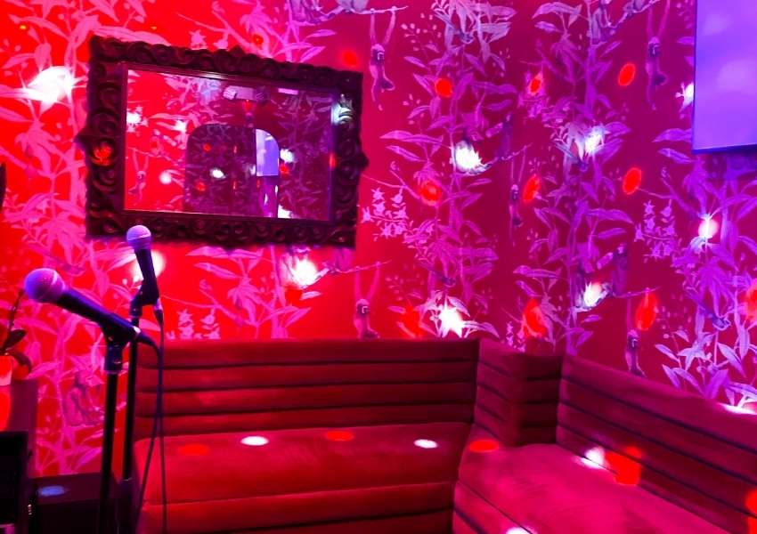 Karaoke in Dallas Casablanca Karaoke-dallas-thingstodoindallas (1)