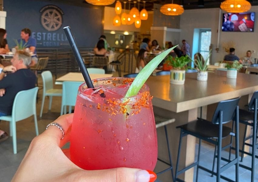 10+ Best Rooftop Bars Jacksonville has to Offer UNATION